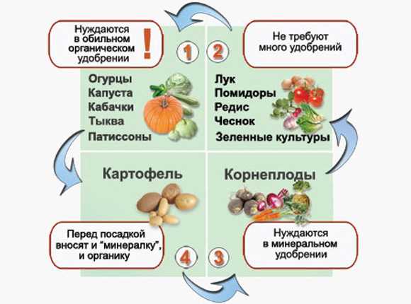 Балконные теплицы: выращивание овощей и зелени
