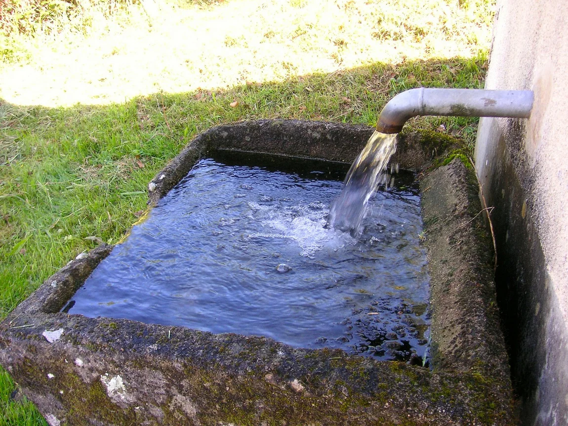 Разнообразные методы экономии воды в дачных сантехнических системах.
