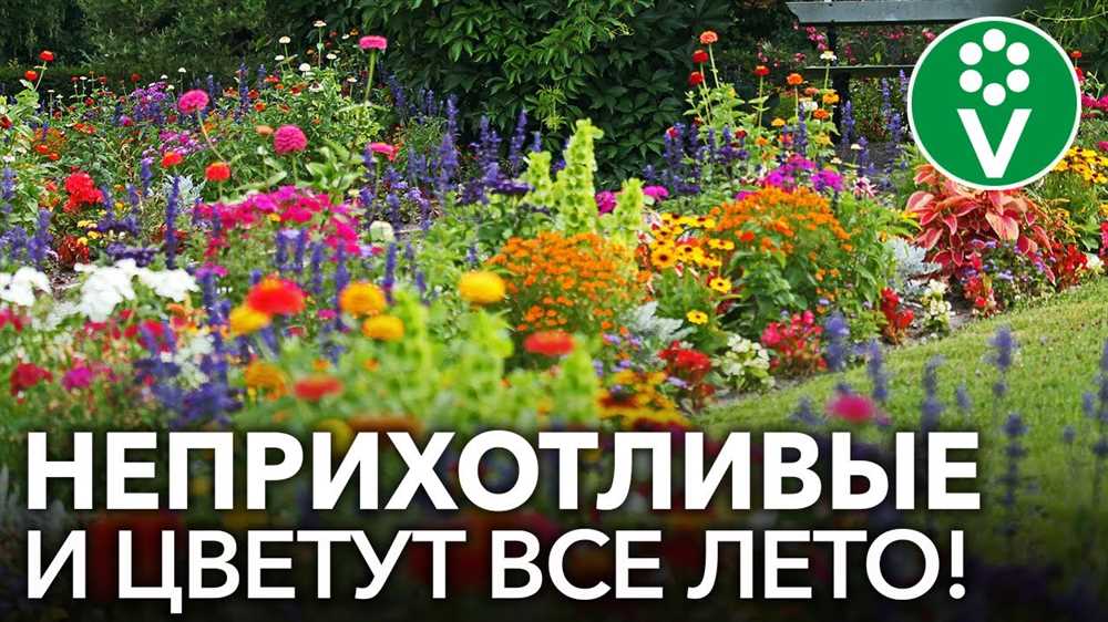 2. Лилии