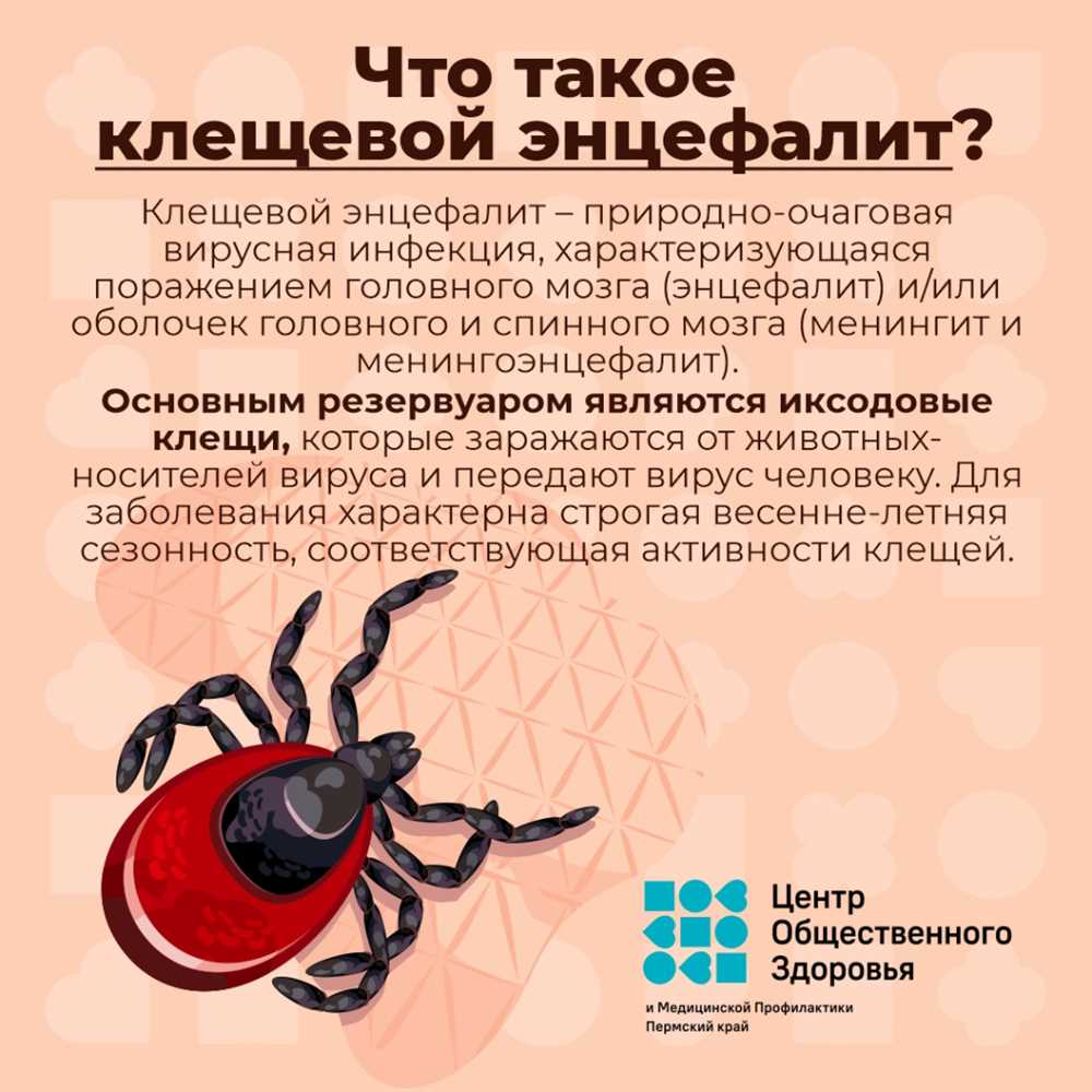 Виды строительных клещей