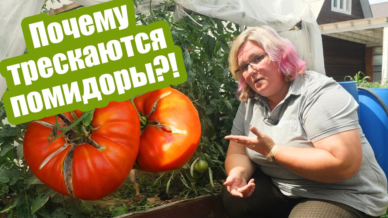 Экстремальные колебания температуры