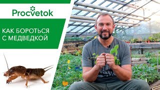Механическое уничтожение