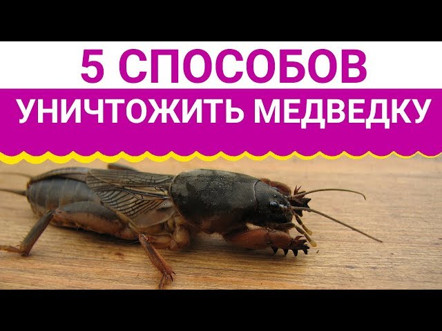 Понимание проблемы