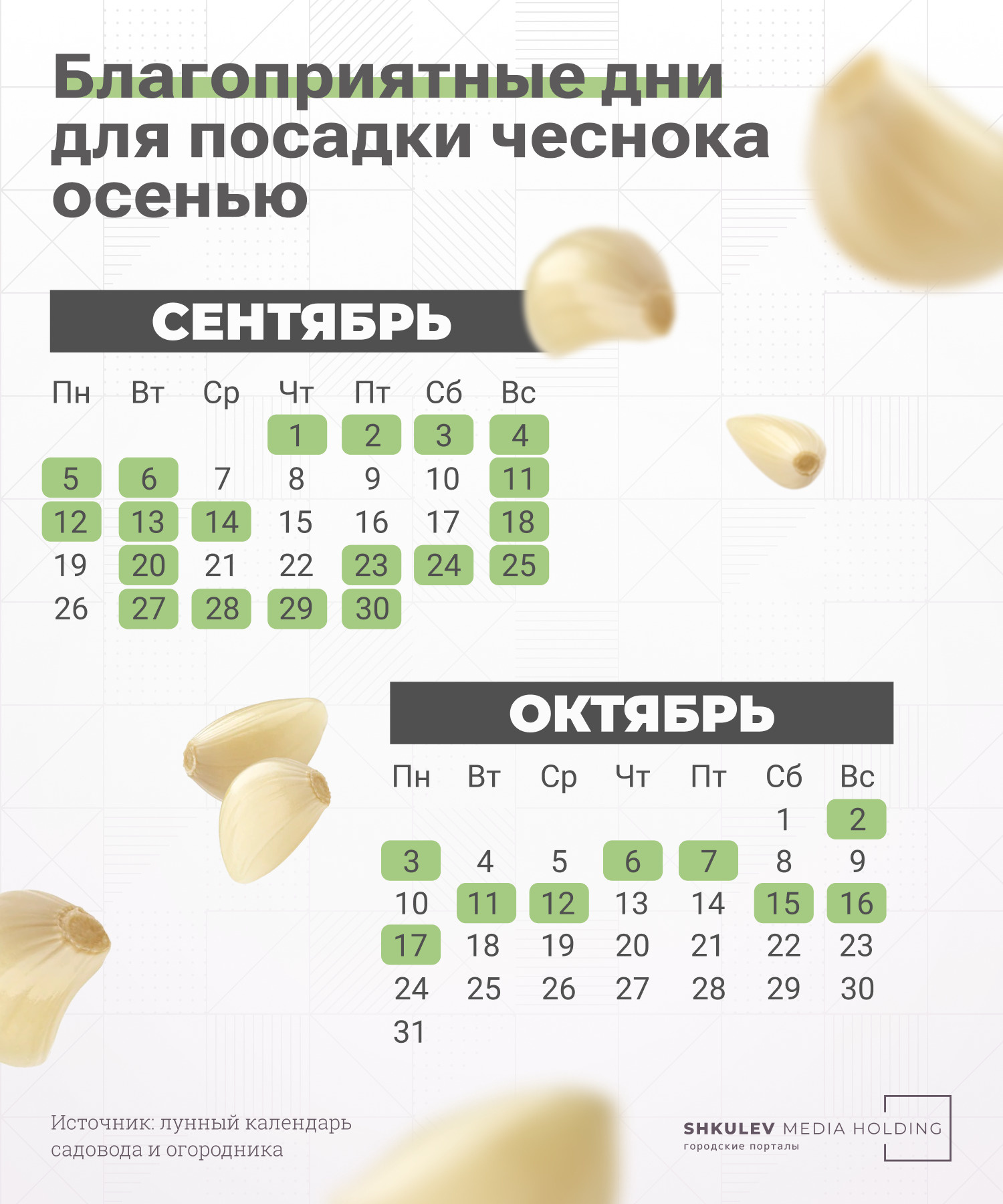Лучшее время для высадки чеснока под зиму