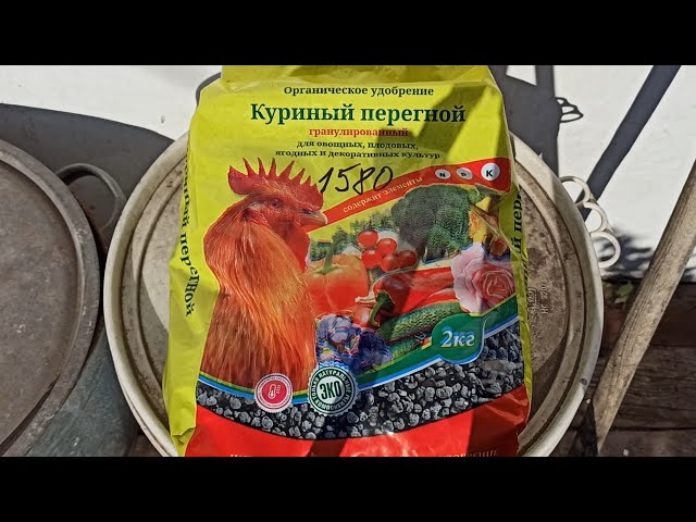 Применение куриного помета для подкормки растений