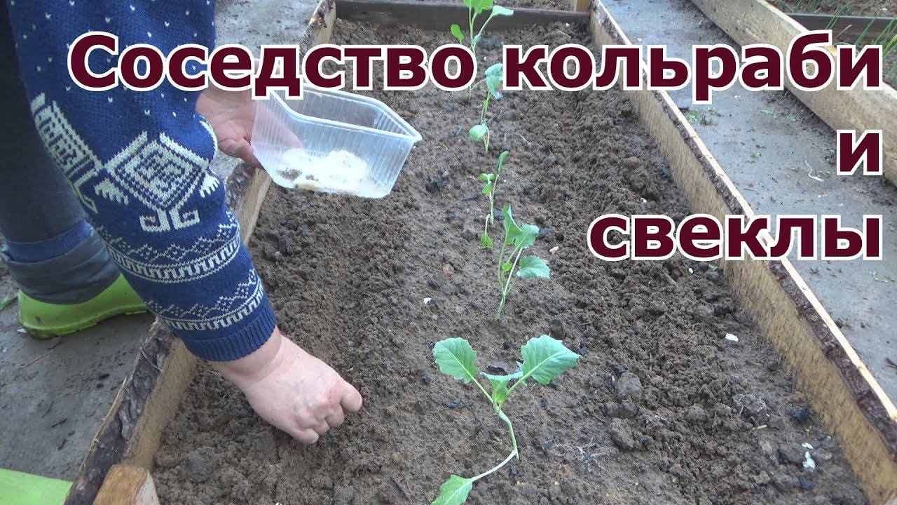 Нашатырный спирт: полезность и применение