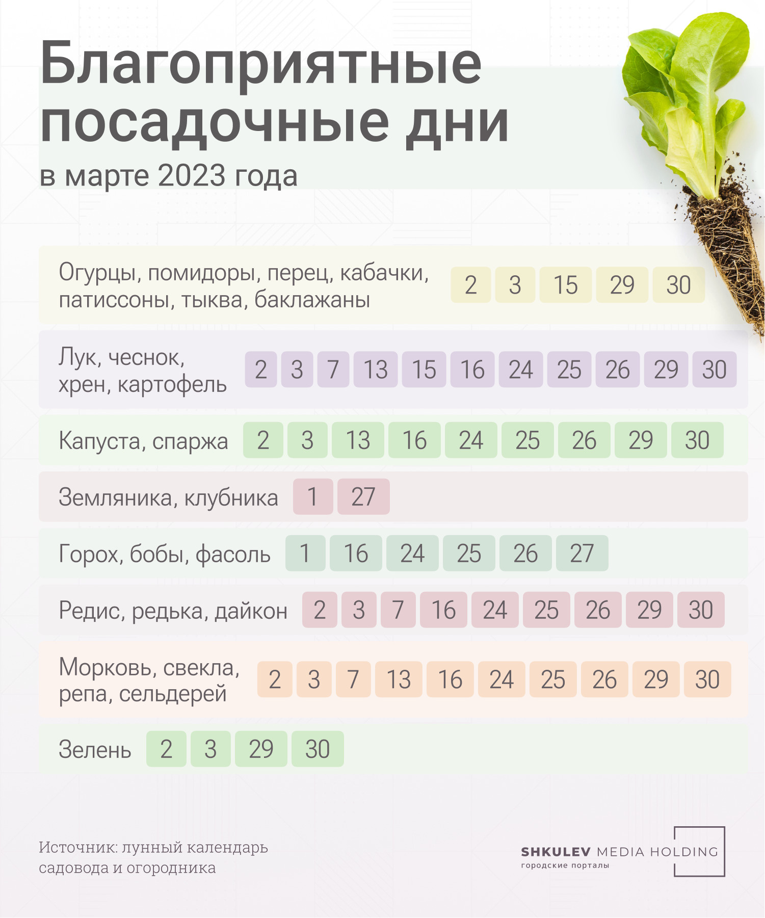 Подготовка к пересадке цветов