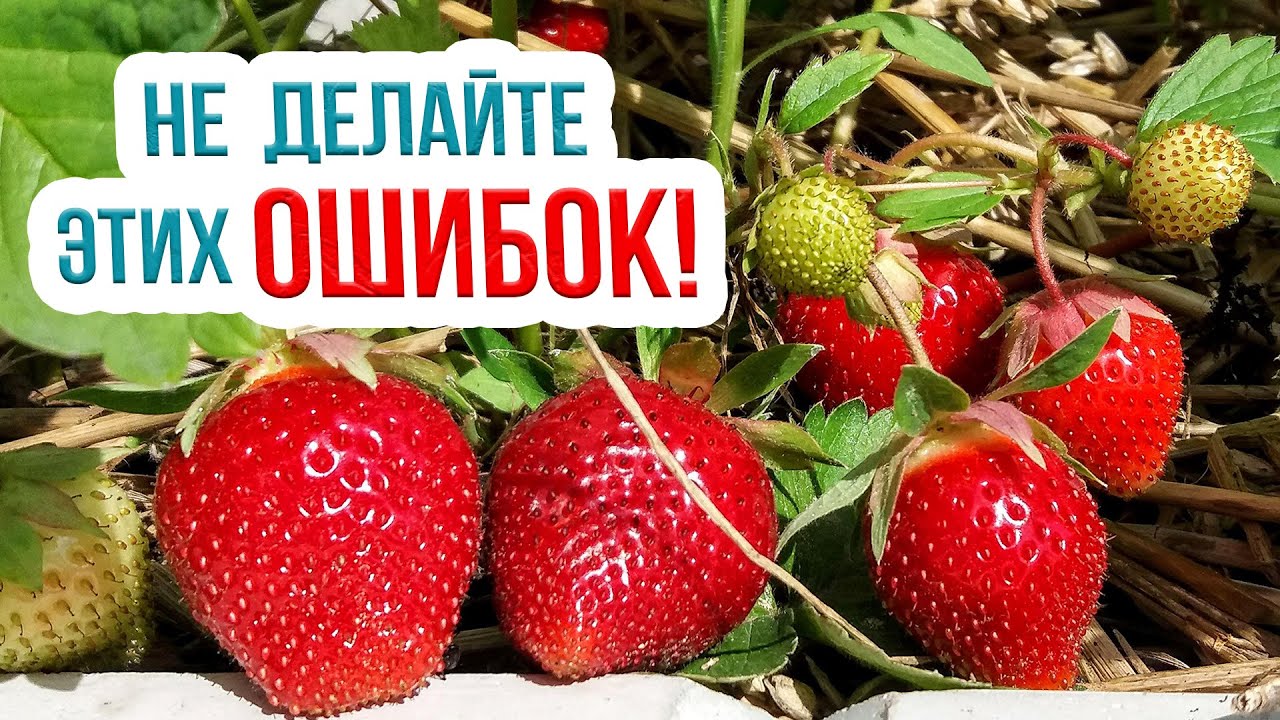 Выбор правильного места для посадки