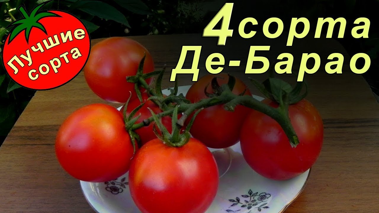 Полезные свойства и витамины