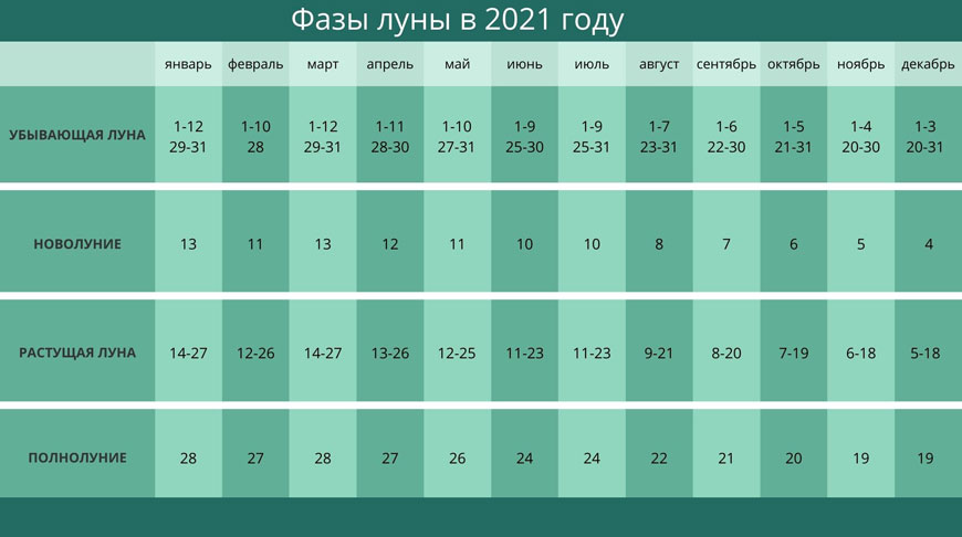 Выбор даты для посадки лука в мае 2021