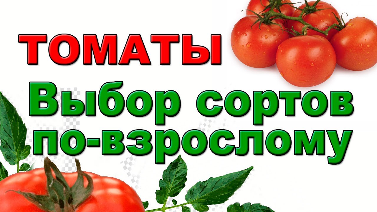 Характеристики сорта