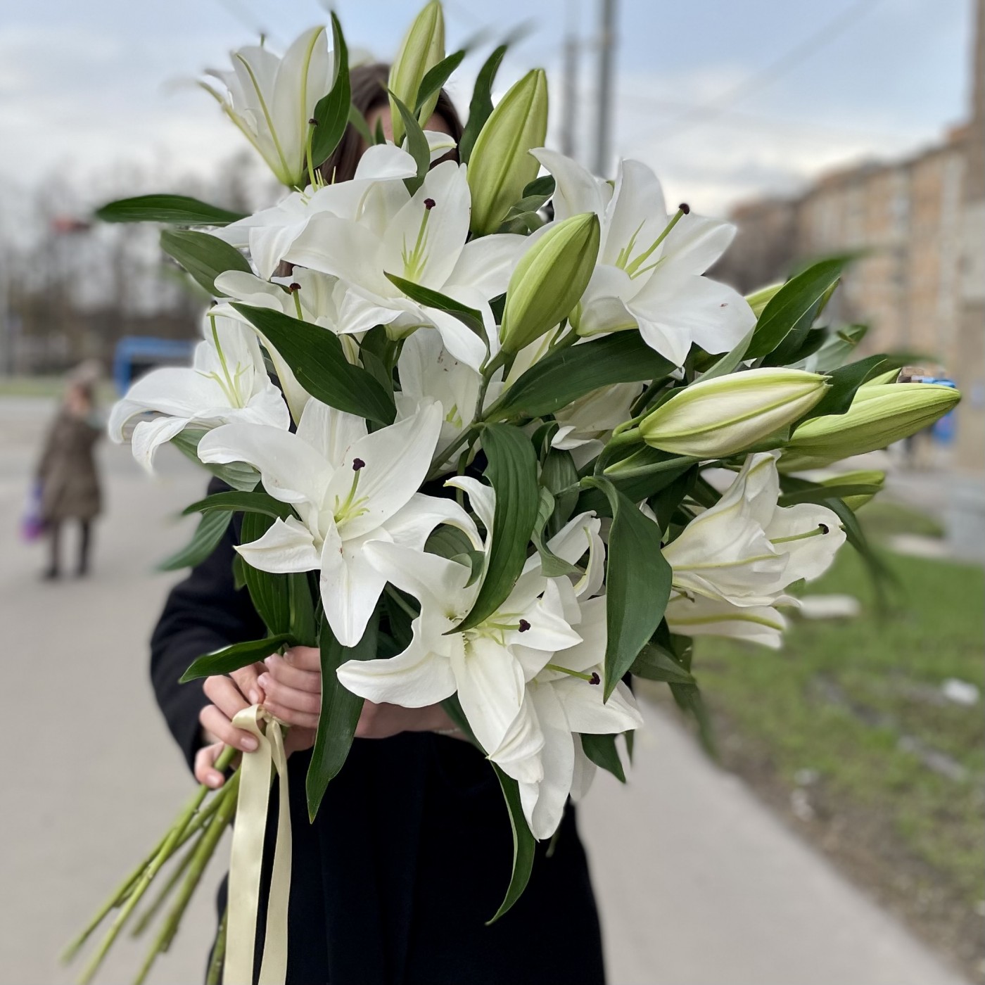 Лилии: разновидности и уход