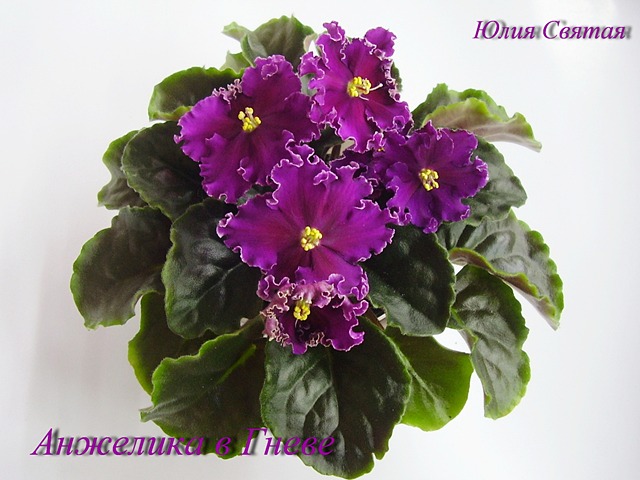 О природе происхождения