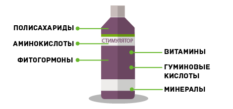 природных стимуляторов роста растений