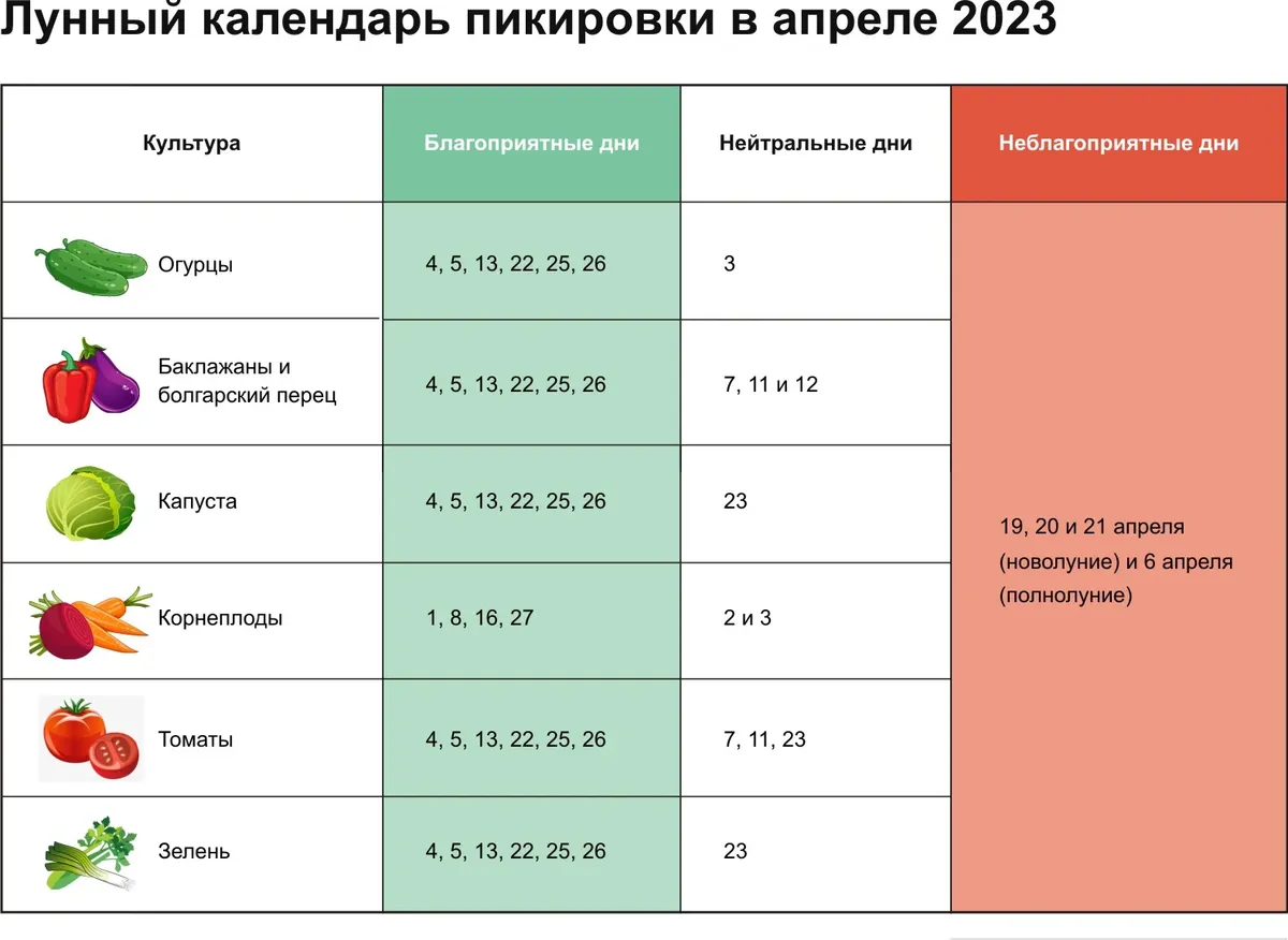 Посадка пикированных рассад в грунт