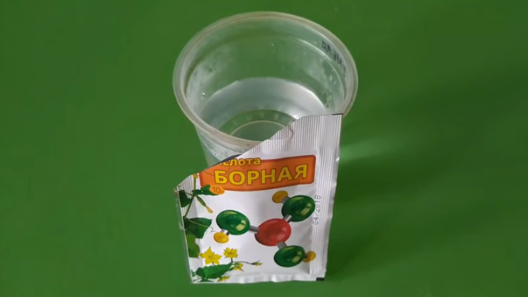 Преимущества и применение борной кислоты для томатов
