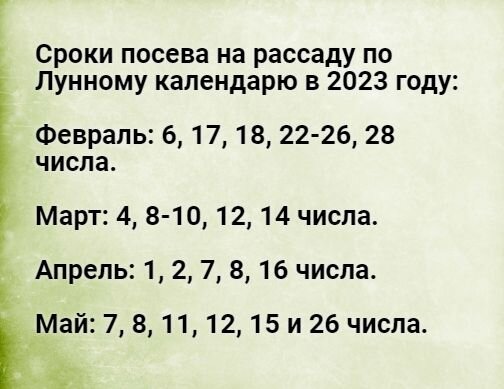 Выбор даты по лунному календарю 2023 года
