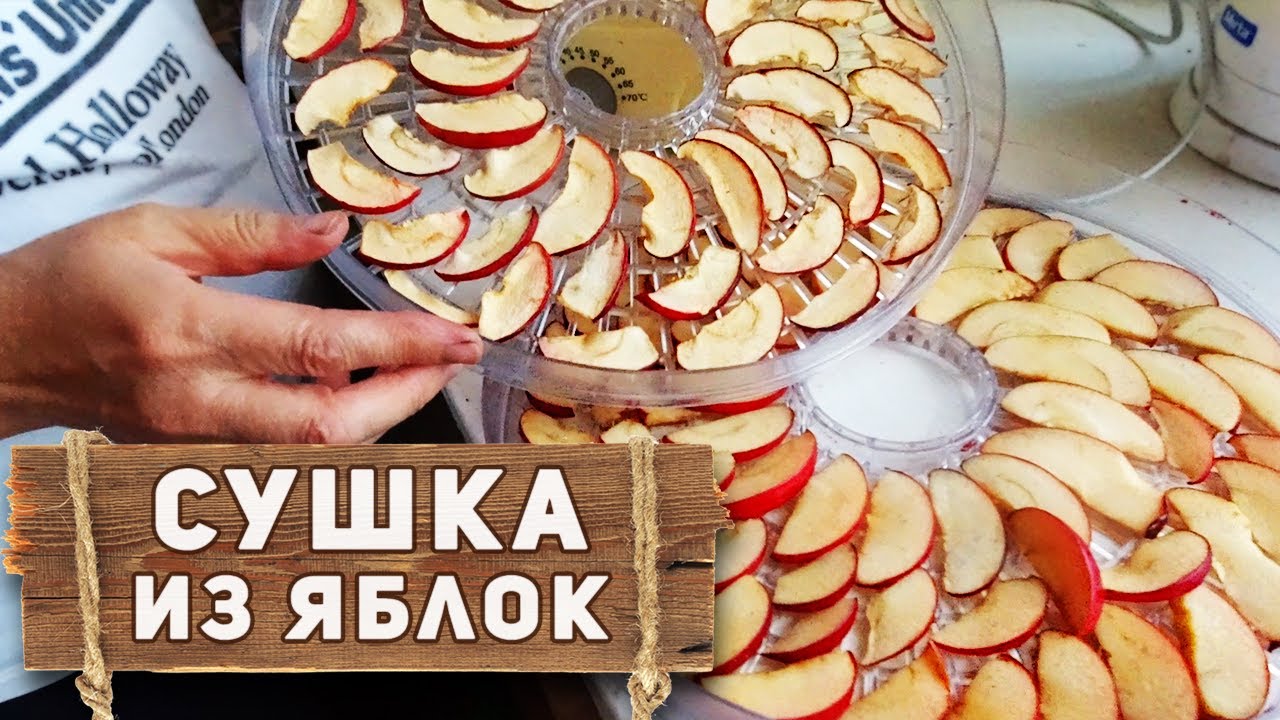 Подготовка яблок перед сушкой