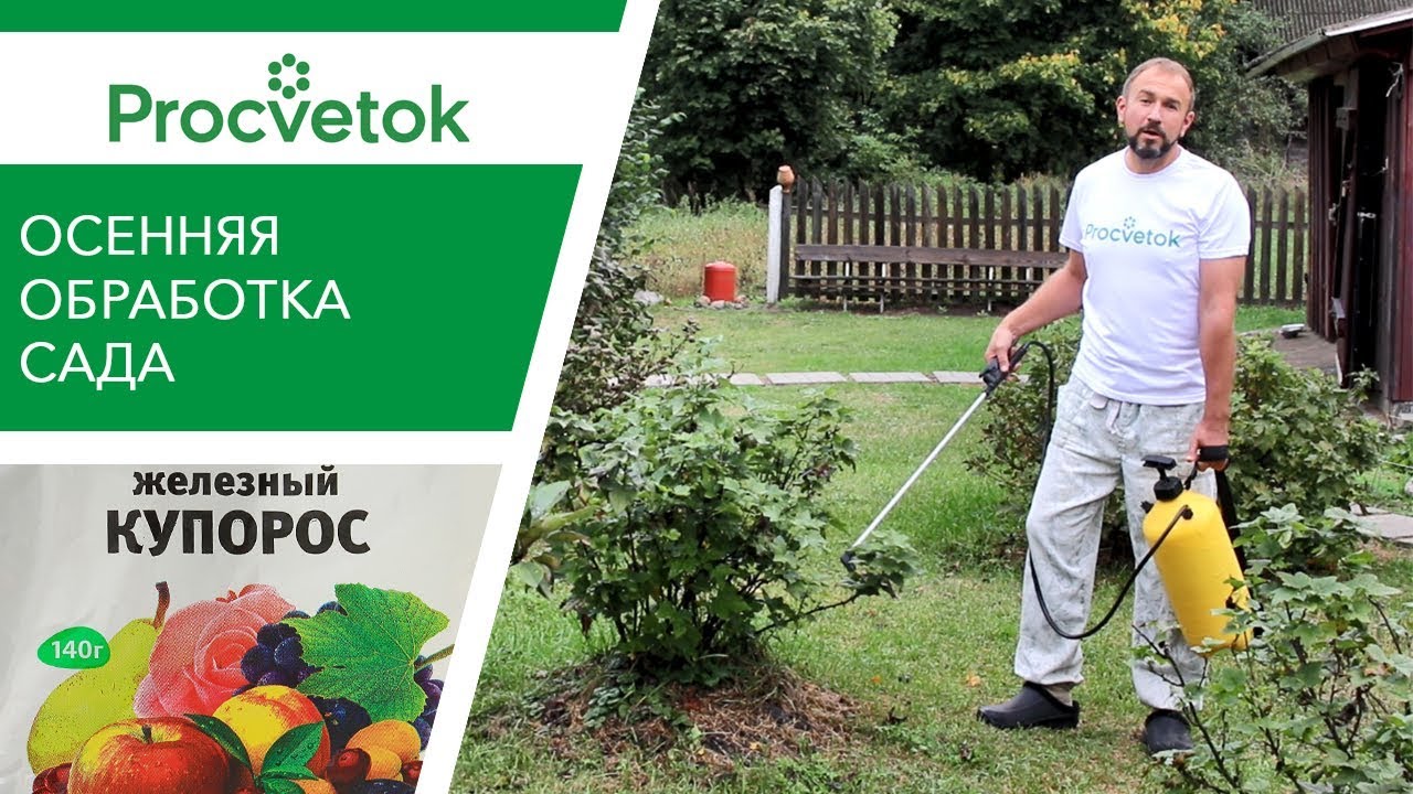 Подготовка раствора купороса