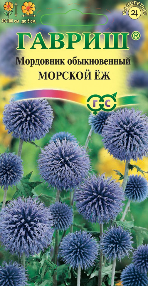 Использование мордовника в ландшафтном дизайне