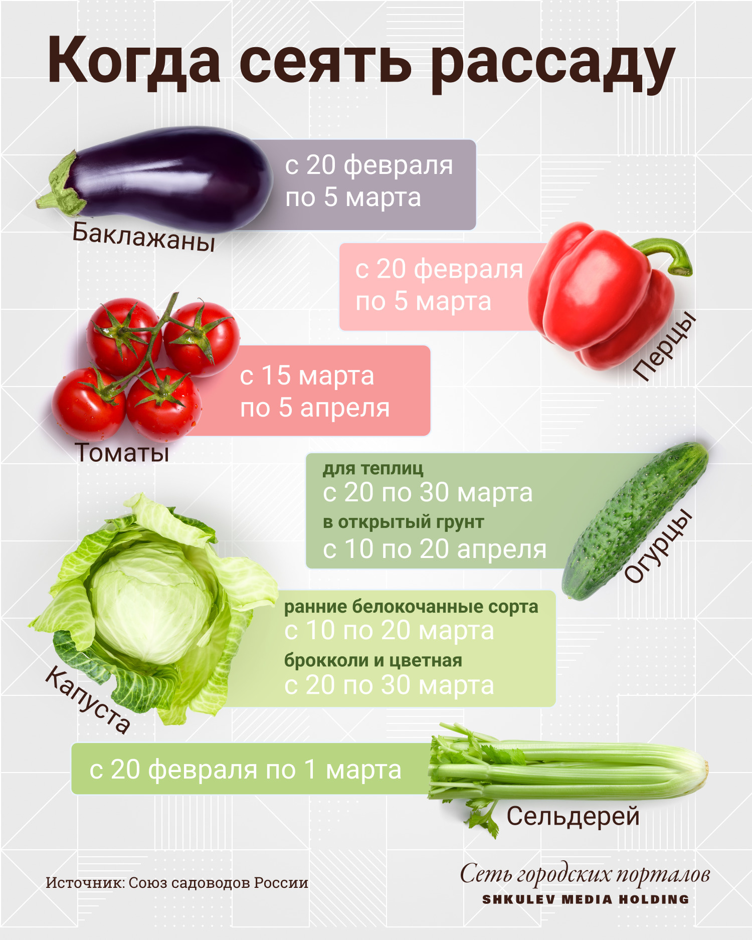 Когда и как сажать целозию на рассаду в 2022