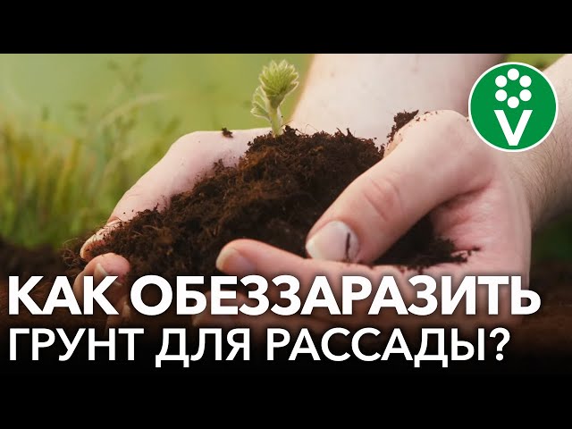 Химические средства для обеззараживания почвы