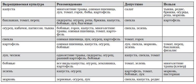 Особенности севооборота при выращивании чеснока