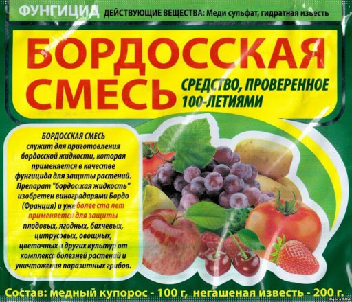 Бордосская жидкость: защита фруктовых деревьев
