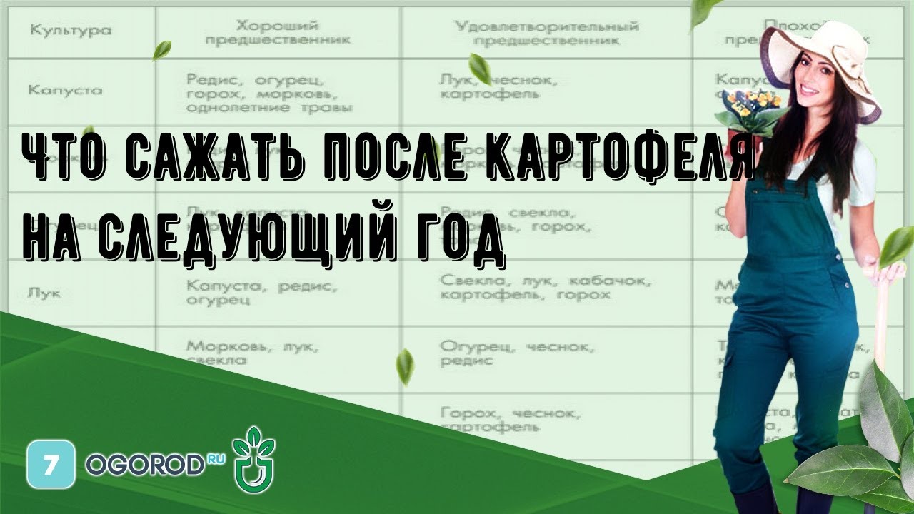 Выбор правильных культур