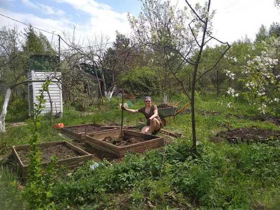 Техники ускорения созревания