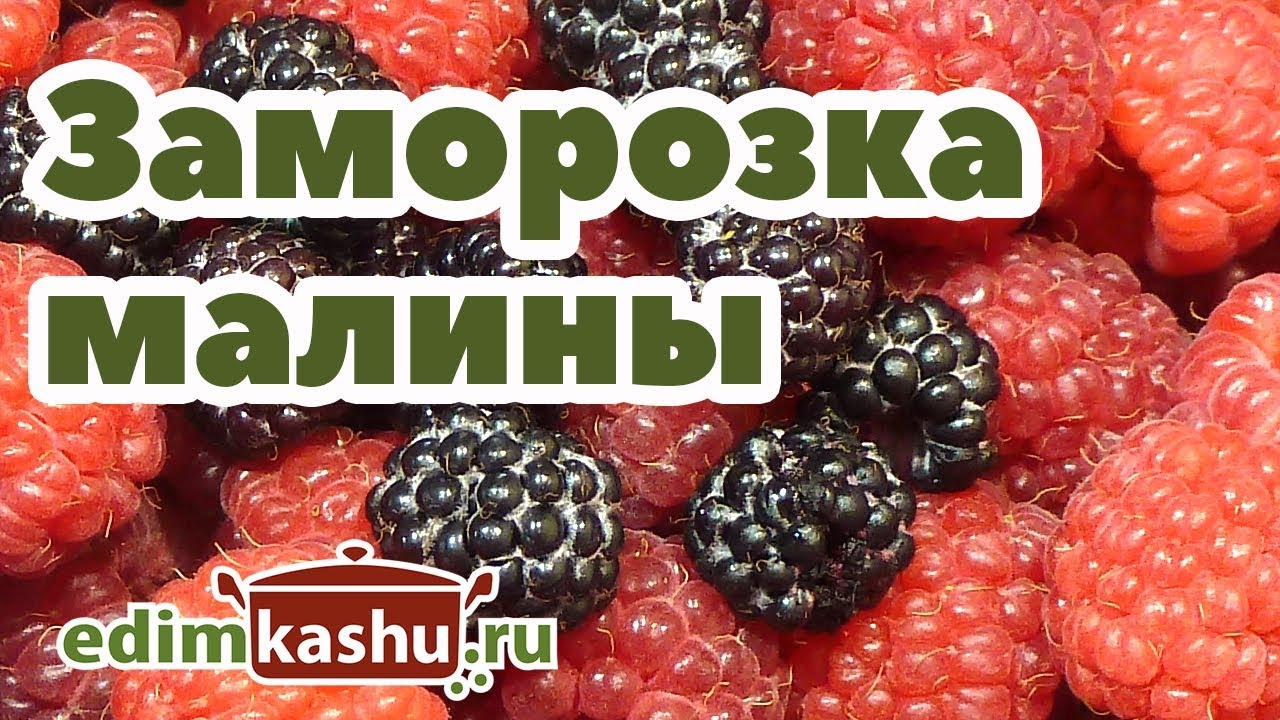 Подготовка малины