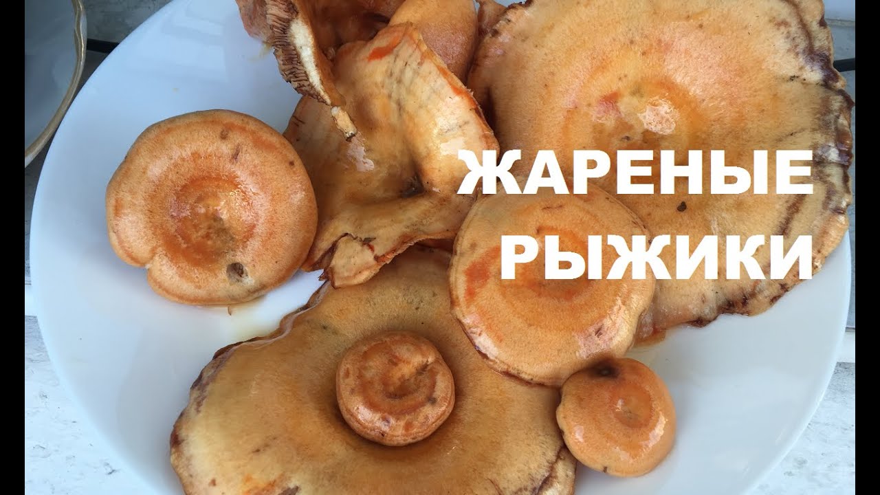 Как очистить грибы рыжики от грязи и песка