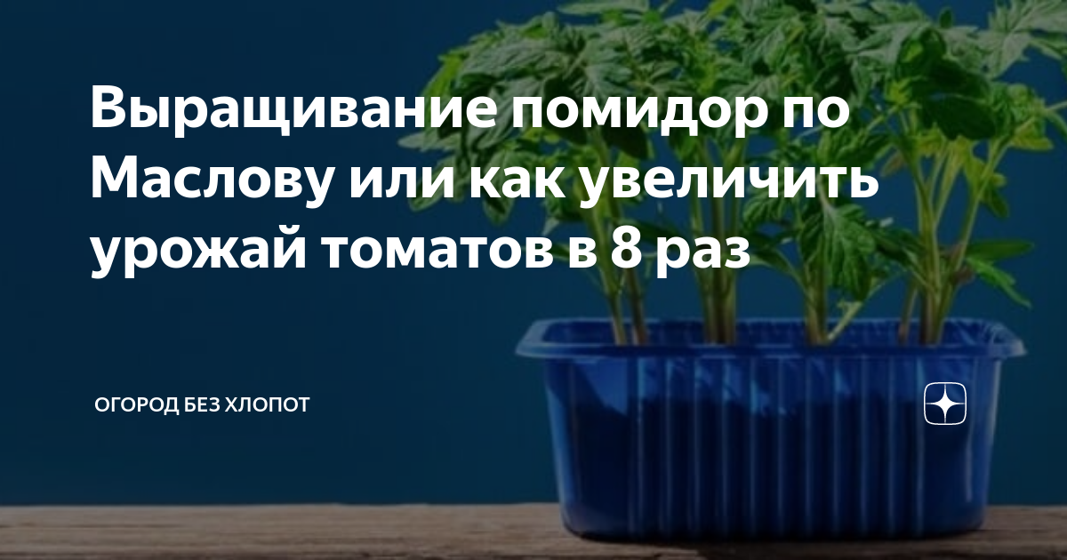 Выбор и подготовка семян для посева
