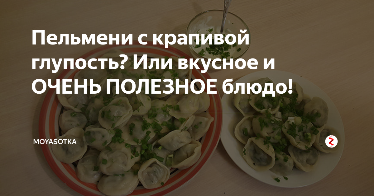 Краткий исторический обзор пельменей из крапивы
