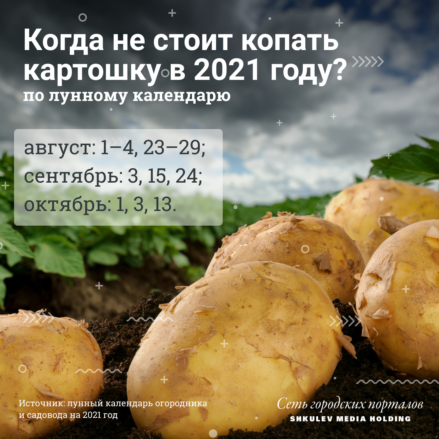 Подготовка семян для посадки картошки в 2021 году