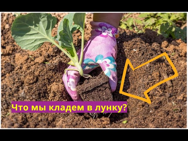 Подготовка почвы для посадки