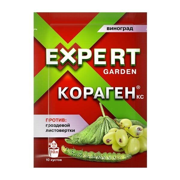 Когда и как обработать виноград весной от болезней и вредителей?