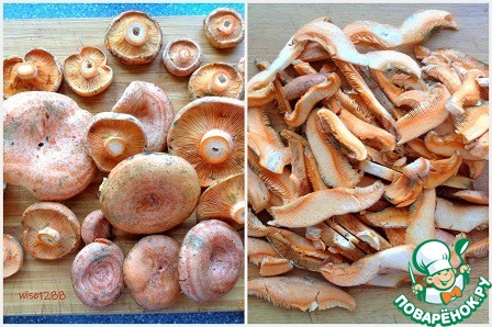 Как выбрать свежие грибы рыжики
