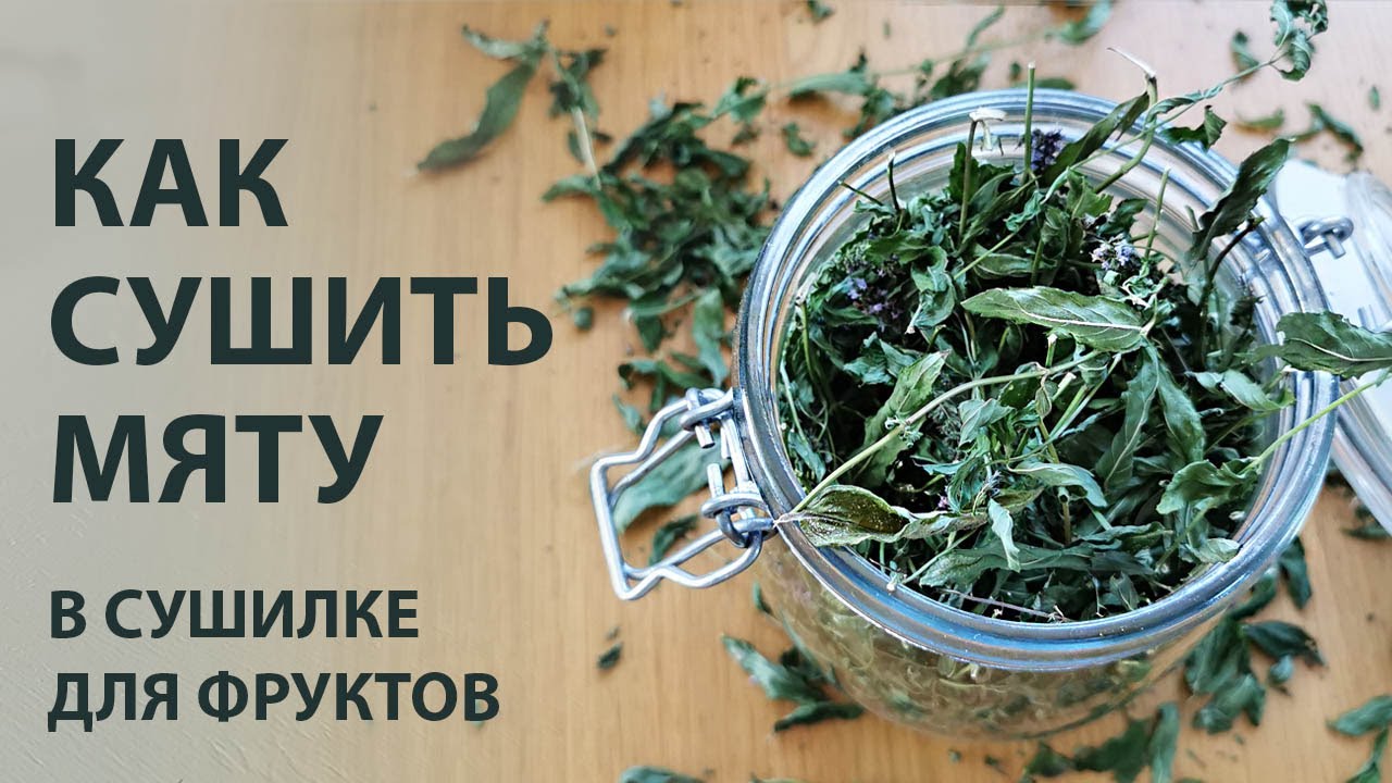 5. Раскладываем листья мяты