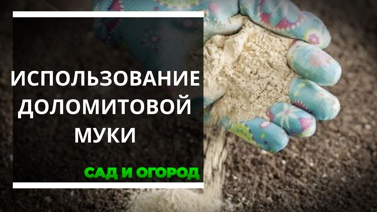 Применение доломитовой муки для повышения плодородия почвы