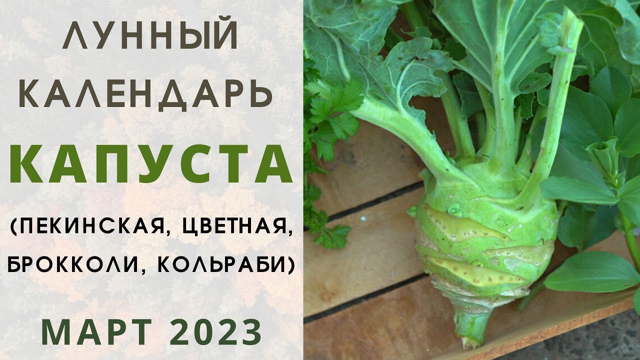 Проблема 2: Нестабильная погода