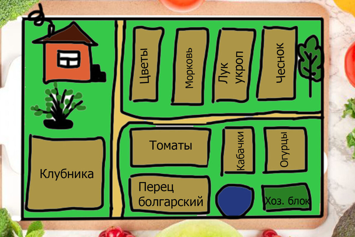 Почему важен севооборот на огороде и даче