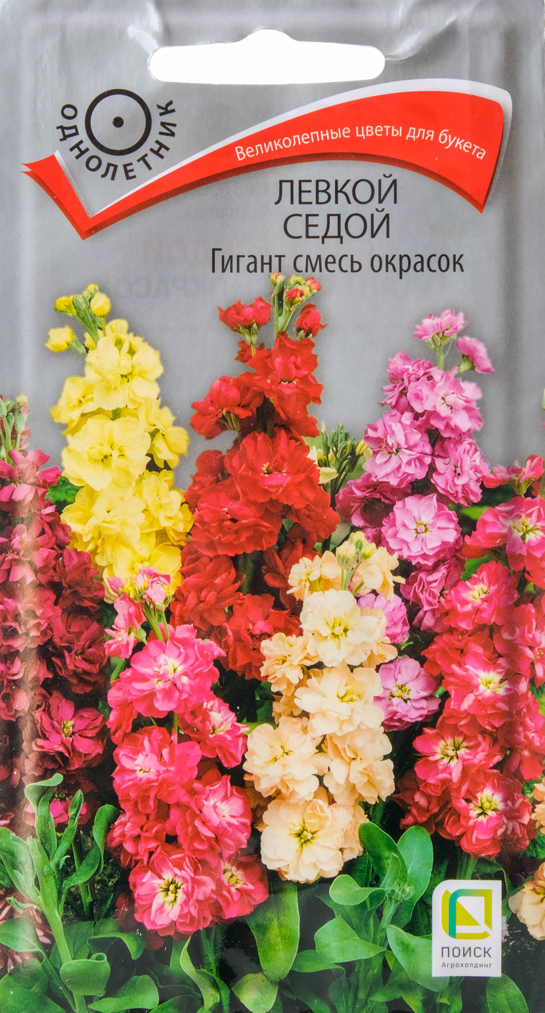 Короткая история использования левкой
