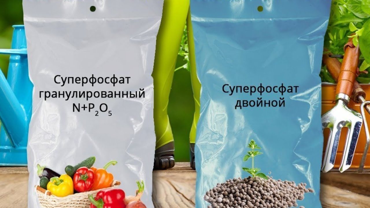 Суперфосфат:  удобрение и применение на огороде и саду