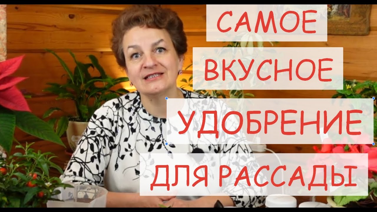 Состав подкормки для стимуляции роста