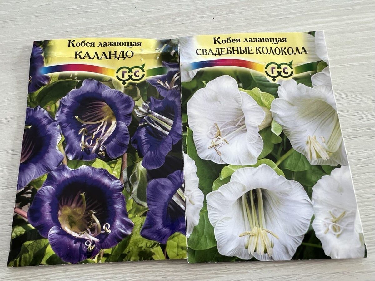Уход за растением