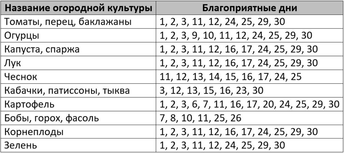 Особенности мартовской посадки растений