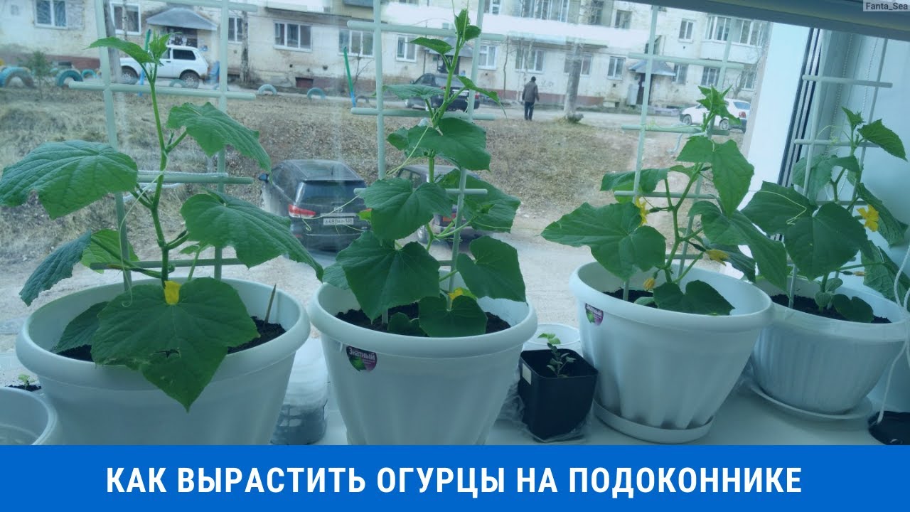 Летом