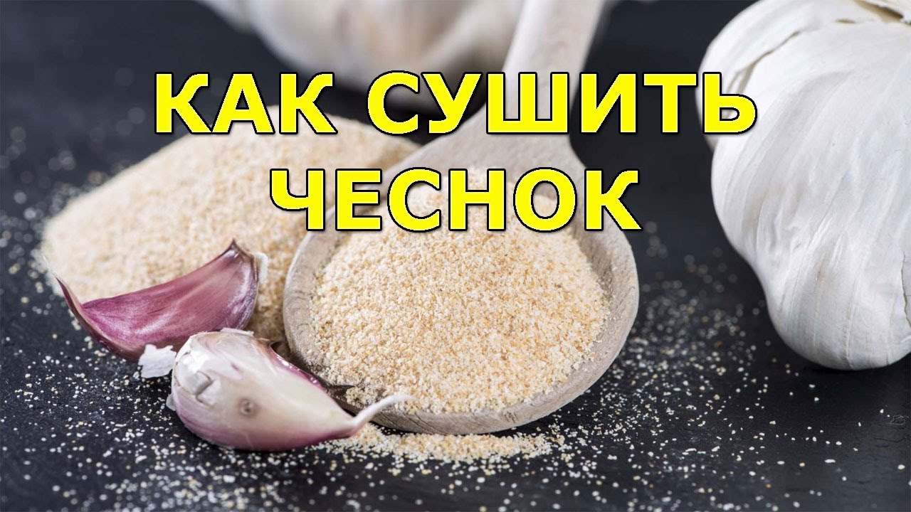 Процесс измельчения сушеного чеснока в порошок
