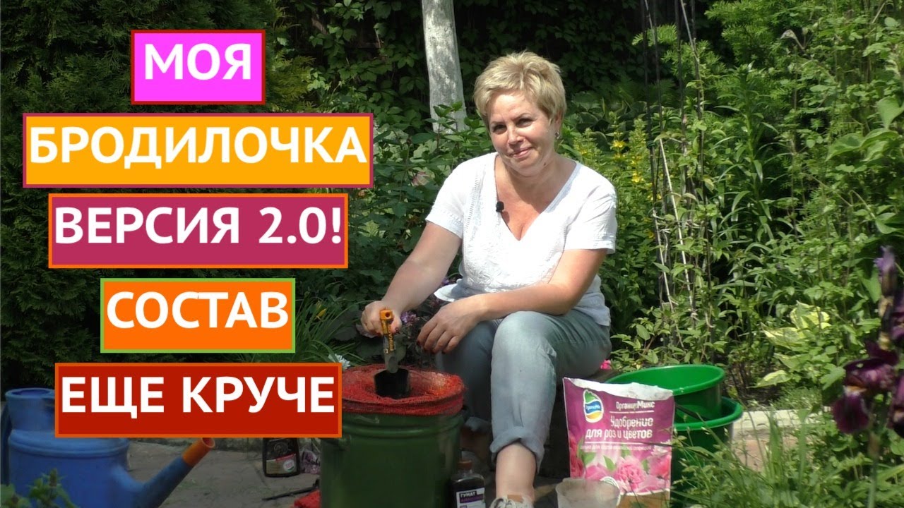 Рецепт №4: Зеленое удобрение из ромашки